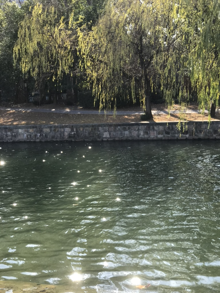 image-20260115005309346