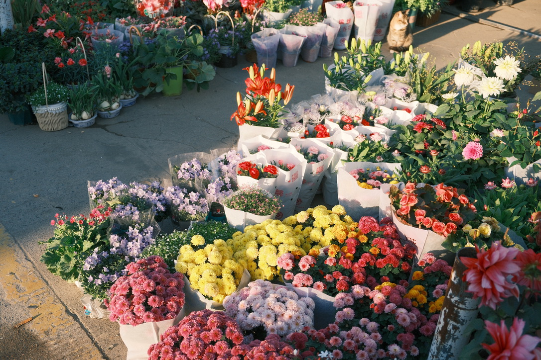 image-20260115005511045