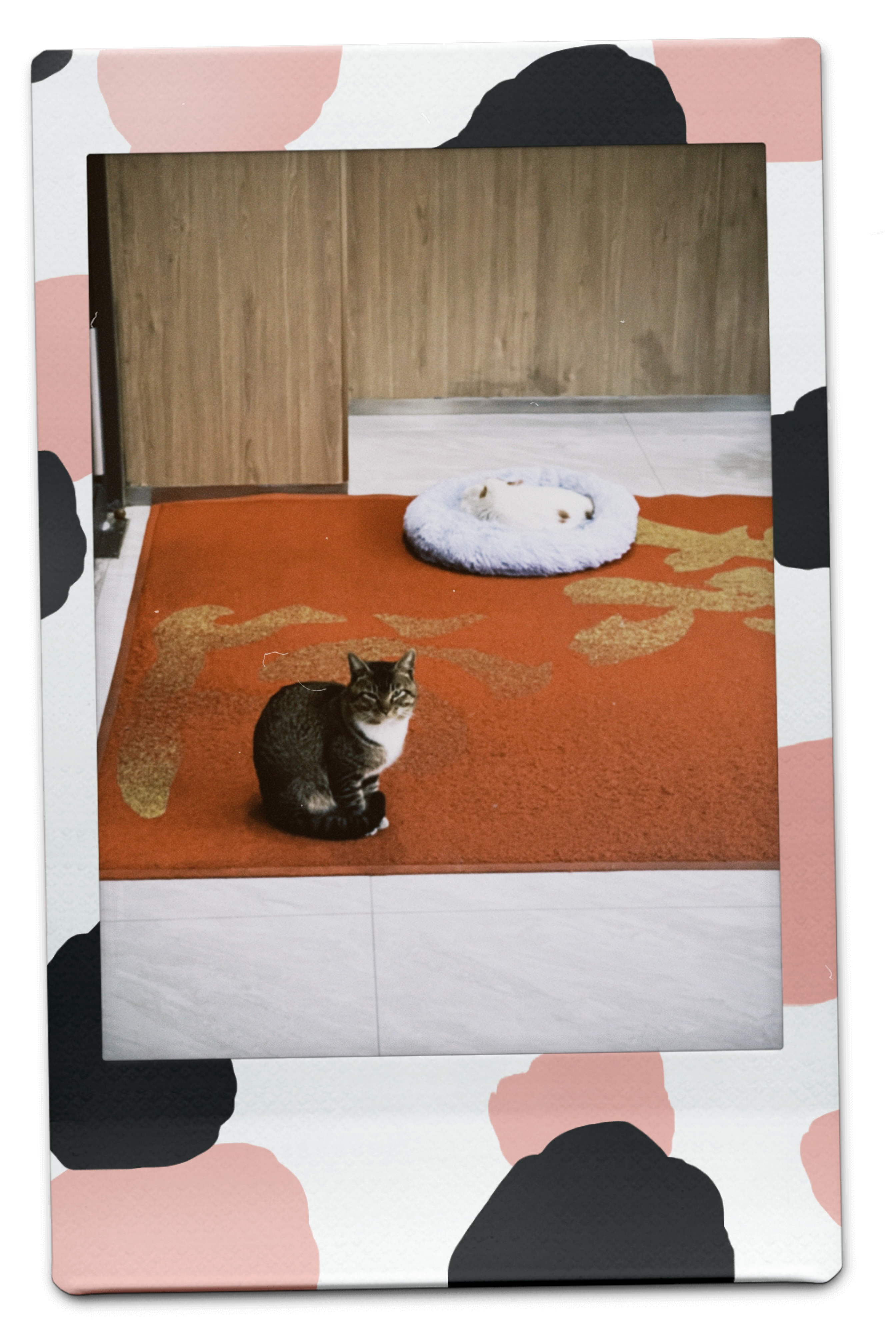 image-20260115010154844